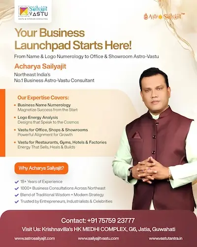 acharya sailyajit business services