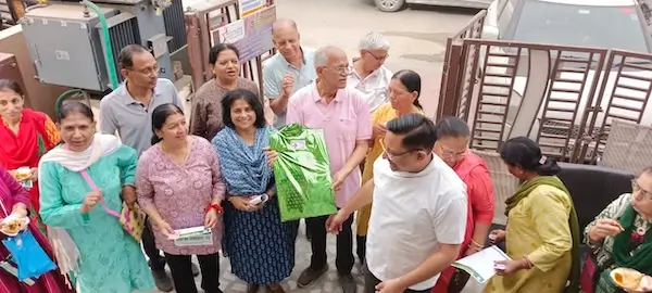 Campaign Olivegreen Dental