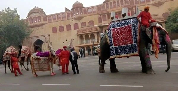 Elephant Ride Baraat