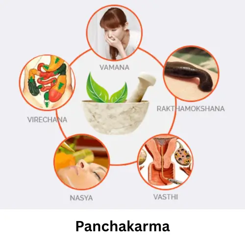 Panchakarma at the aastha Clinic