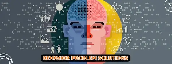 Shaily's Angles Blessings Healing House -Behavior Problem Analysis